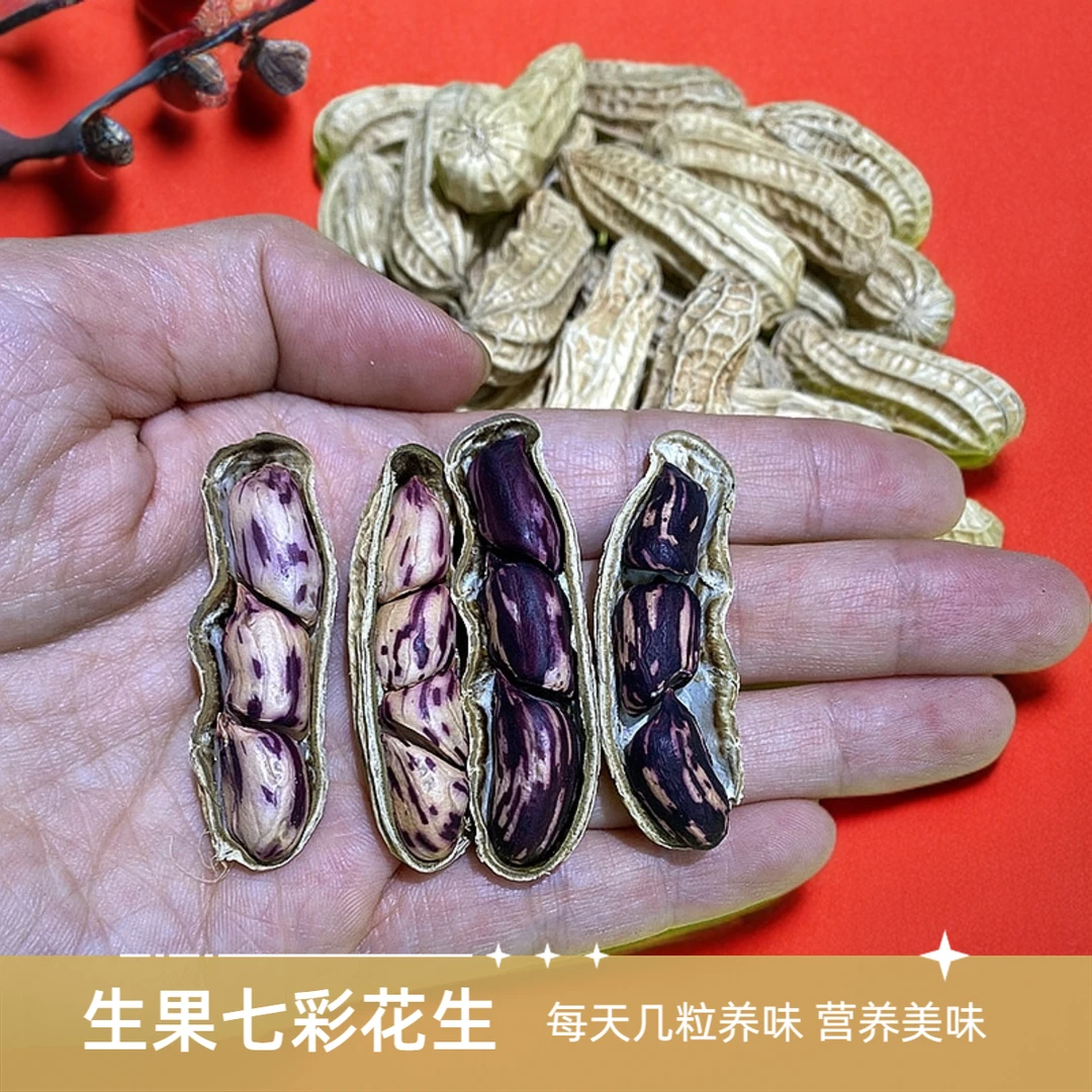 生七彩花生（生果）云南七彩花生正宗七彩花生生花生