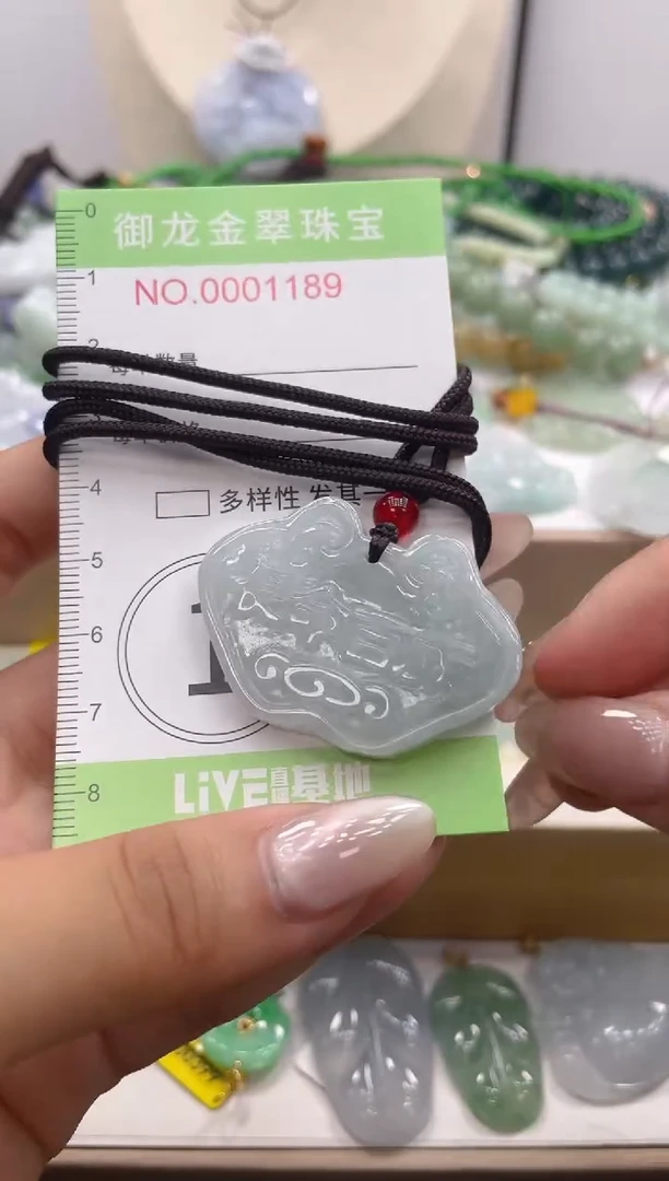 颈饰未镶嵌翡翠098多样性发货