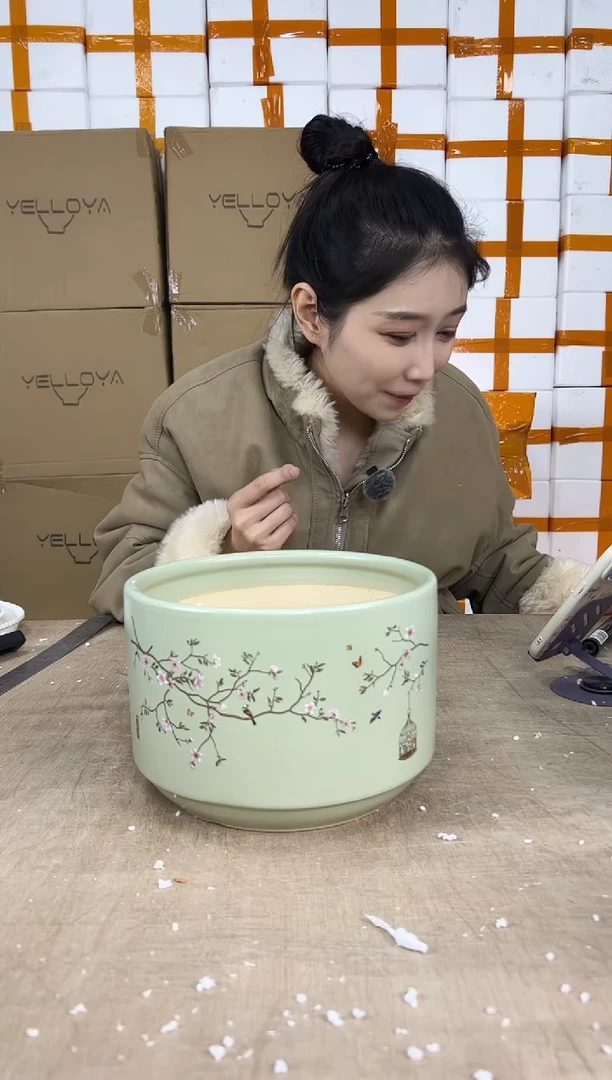 蝴蝶兰鸟笼绿色中号21x15