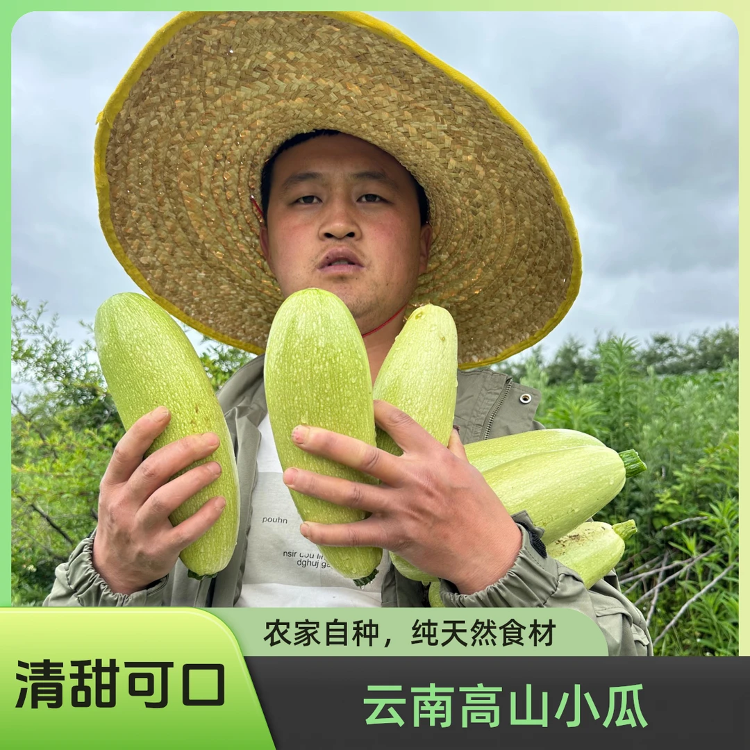 云南农家自种应季小瓜（4斤装）新鲜现摘清香可口烧烤必备