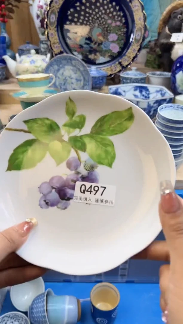 【闪购商品】瓷片497qqqqqqqqqqqq