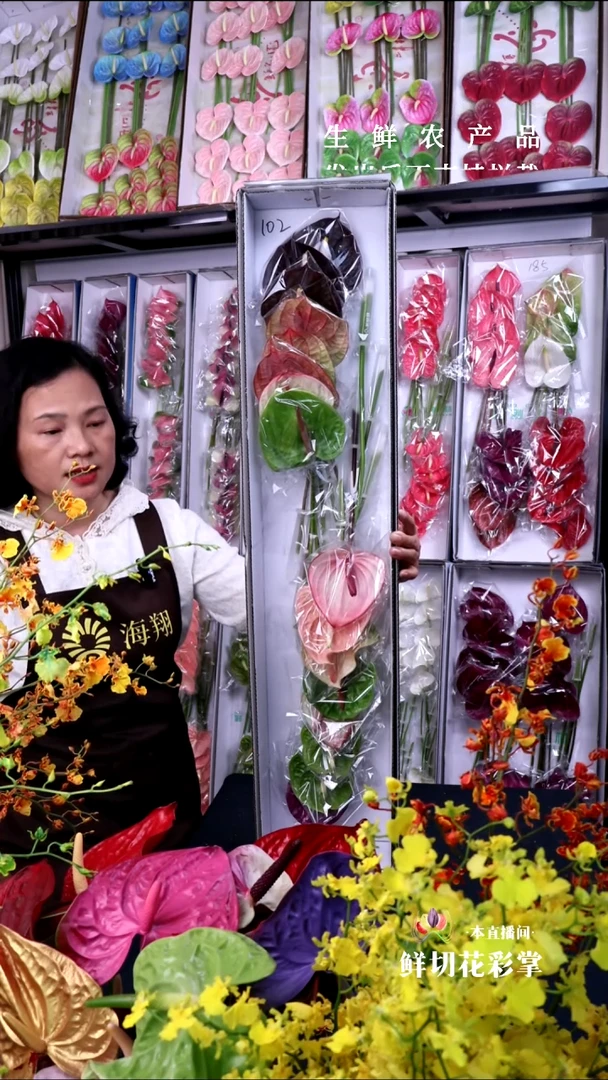 102混色彩掌16支小掌，微瑕无售后