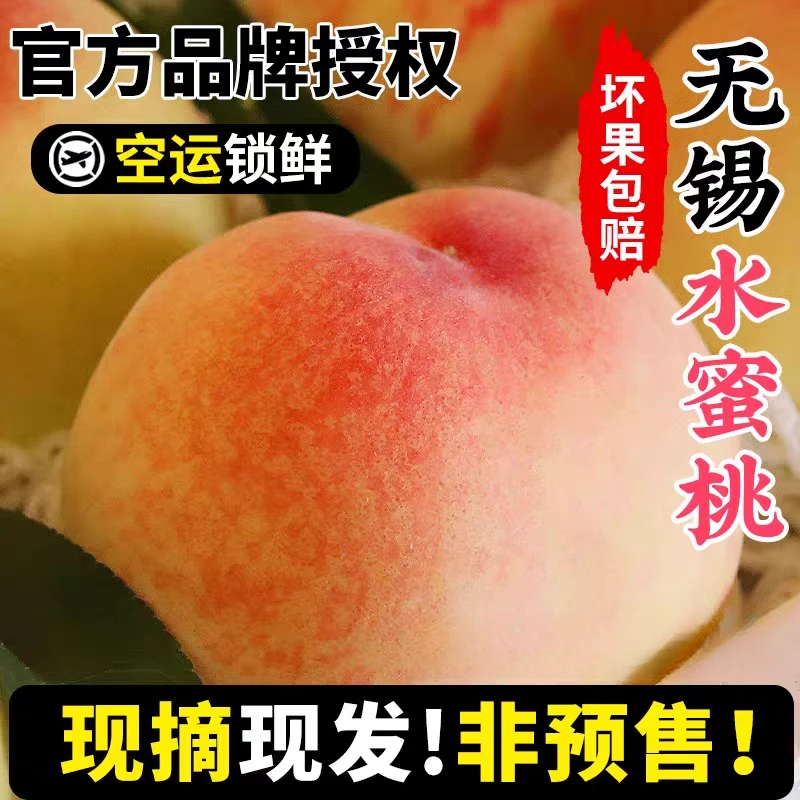 正宗无锡阳水蜜桃水果新鲜整箱当季软桃子应季毛桃水密桃礼盒装