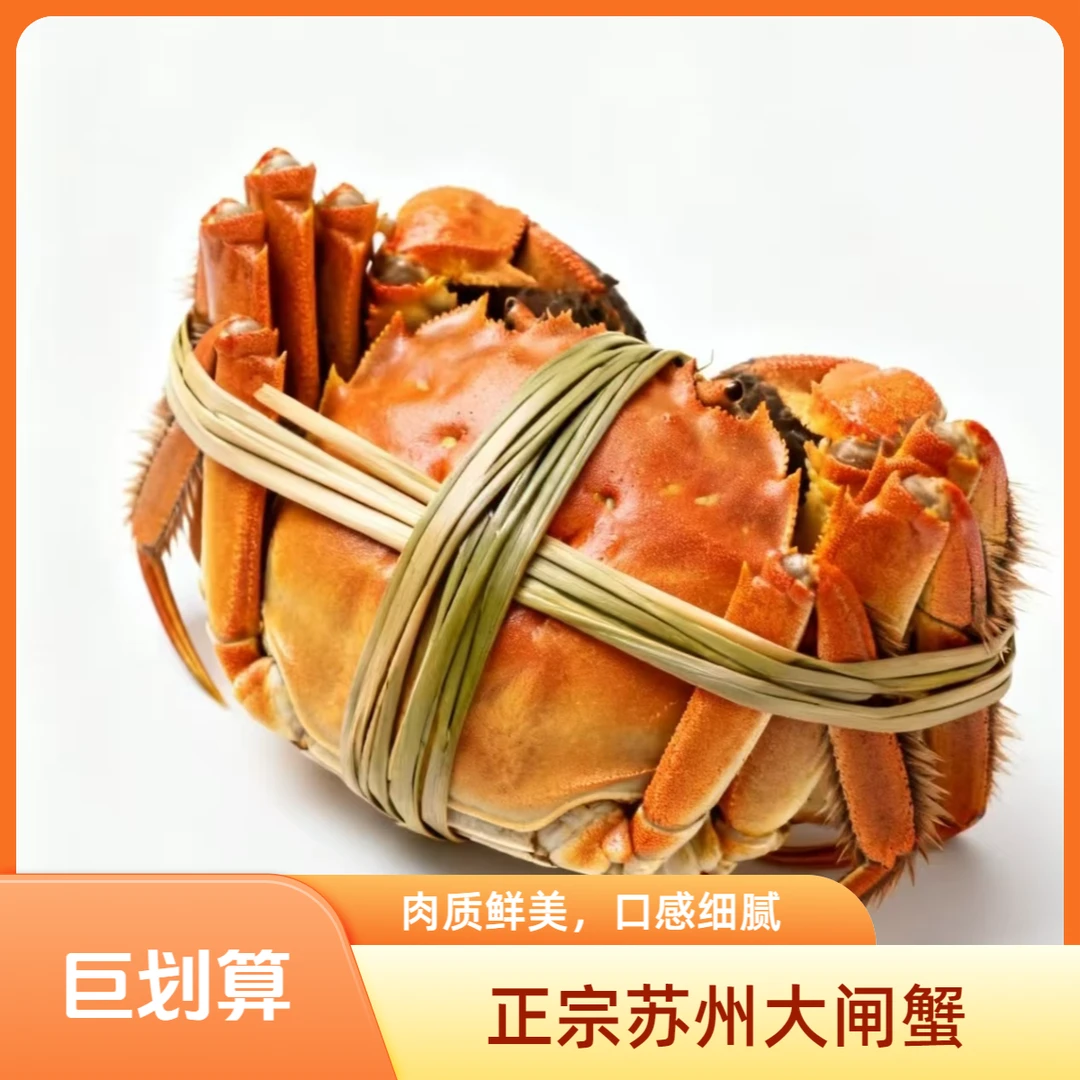 【活蟹】鑫渔民精品大闸蟹*母3.2-3.5两+公4.2-4.5两*4对+现捞现发