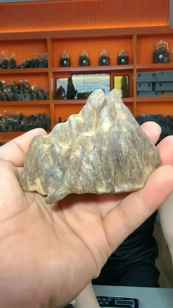 沉香摆件197号包头115g多样性发一
