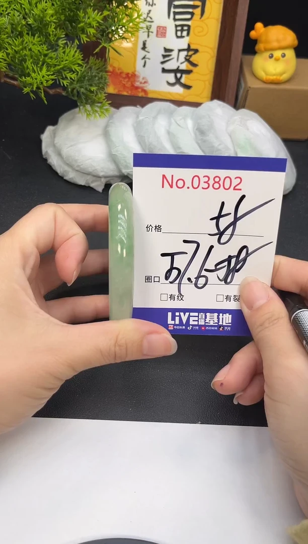 未镶嵌手镯翡翠3802