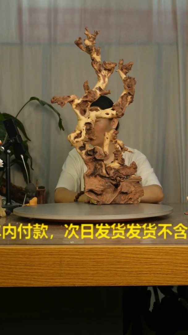木人****路云南红河金丝红911