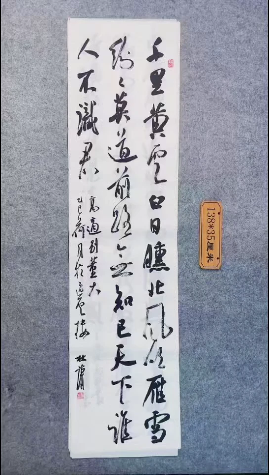 书法107中书协 杜潇书法放漏