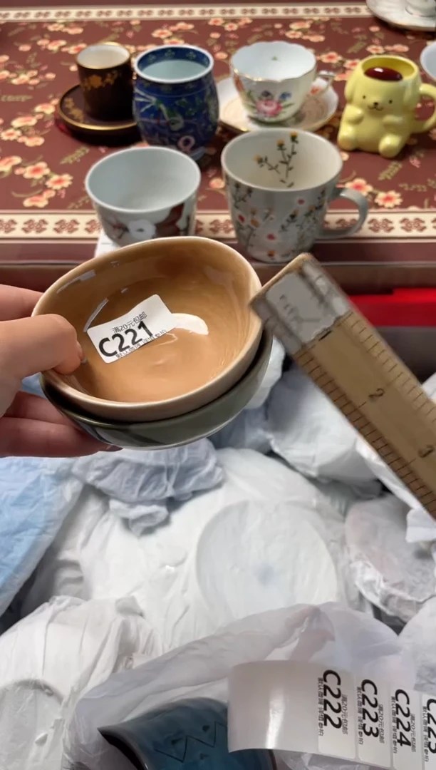 瓷片阳***雪瓷器瓷器C221