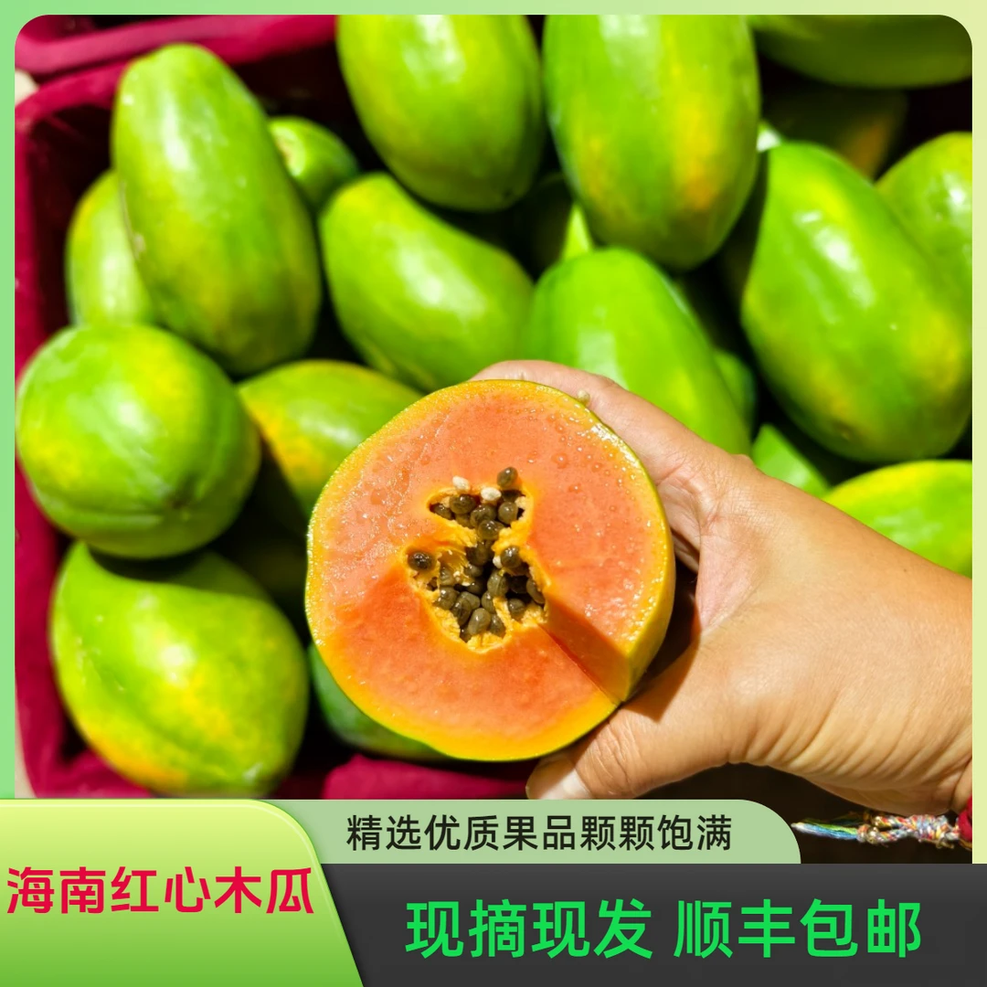 顺丰包邮三亚树上熟红心木瓜牛奶木瓜水果木瓜