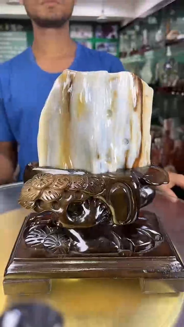 未镶嵌珠宝奇石硅化玉缅甸天然树化玉摆件