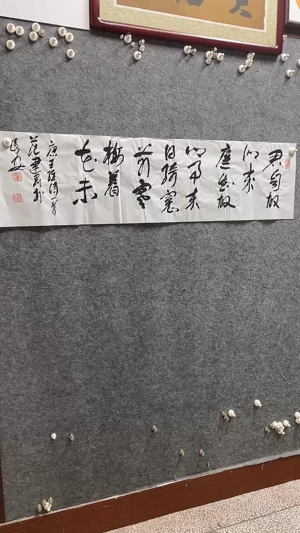 书法范建刚老师作品138*34