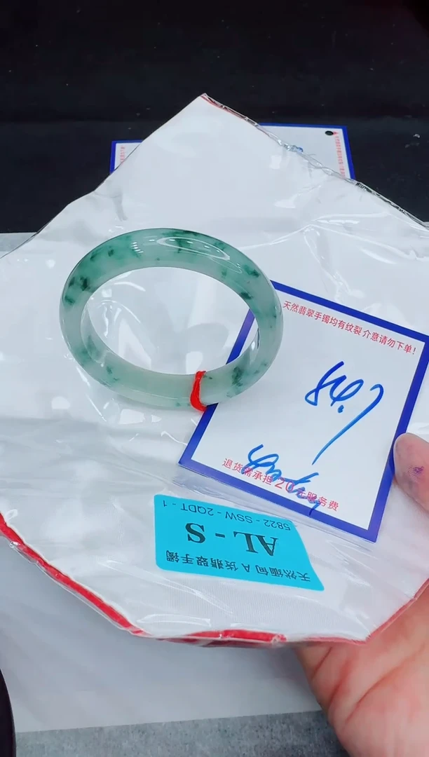未镶嵌手镯翡翠11111111