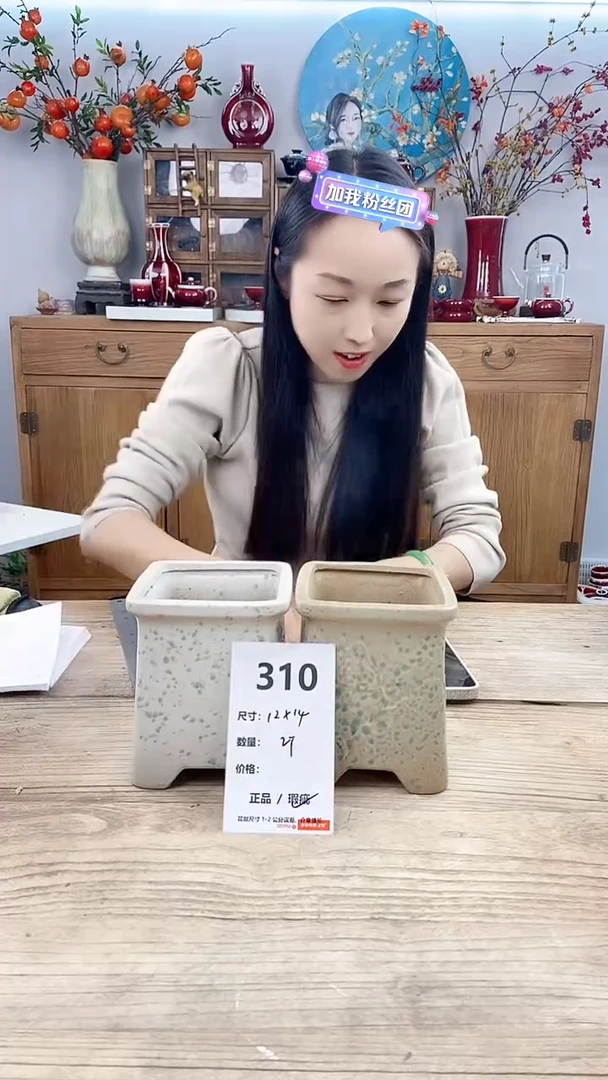 【闪购商品】红陶310