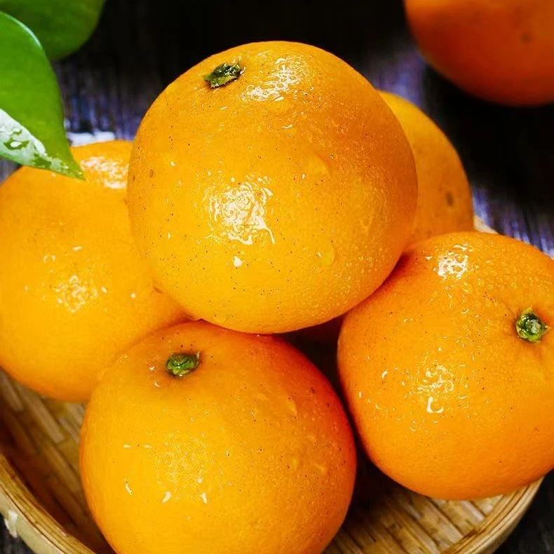 新鲜当季水果手剥麻阳冰糖橙果肉细腻多汁带箱10斤装单果60mm+