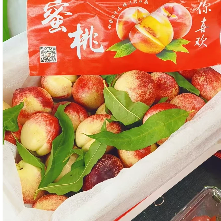 新疆枣蜜桃1斤 黑龙江省