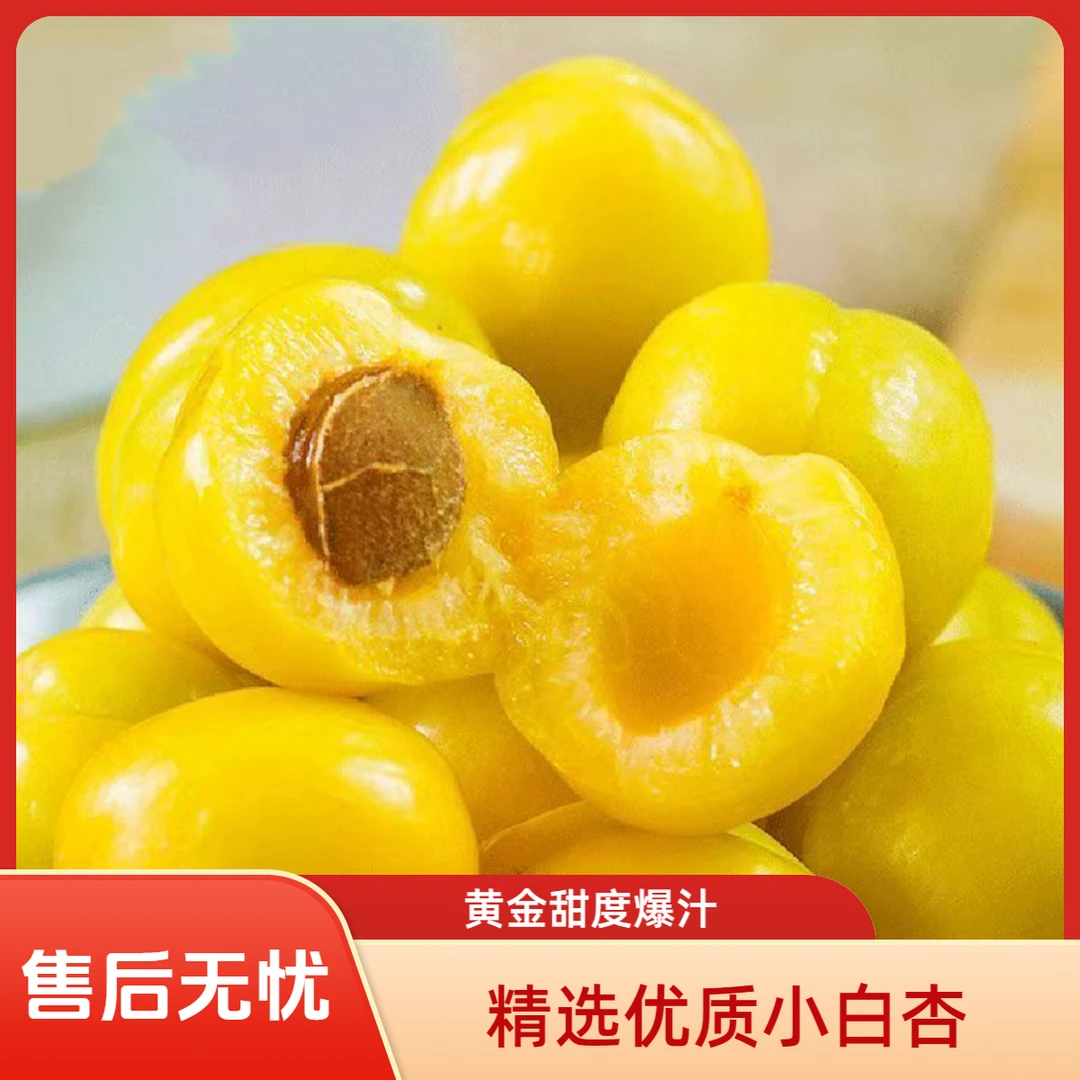 【于甄鲜】山东特产新鲜小白杏珍珠油杏水水果3斤装