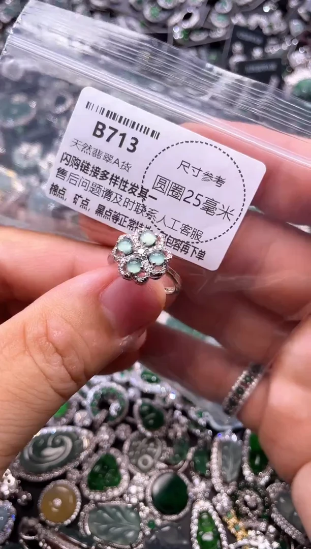 翡翠未镶嵌颈饰B713戒指