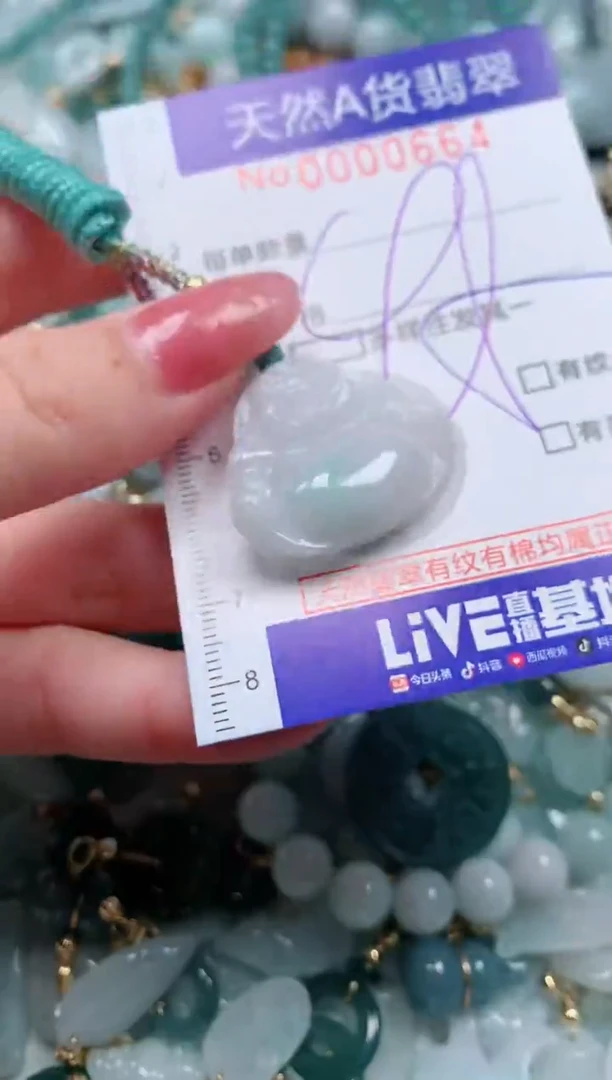 【闪购商品】翡翠颈饰未镶嵌00000664