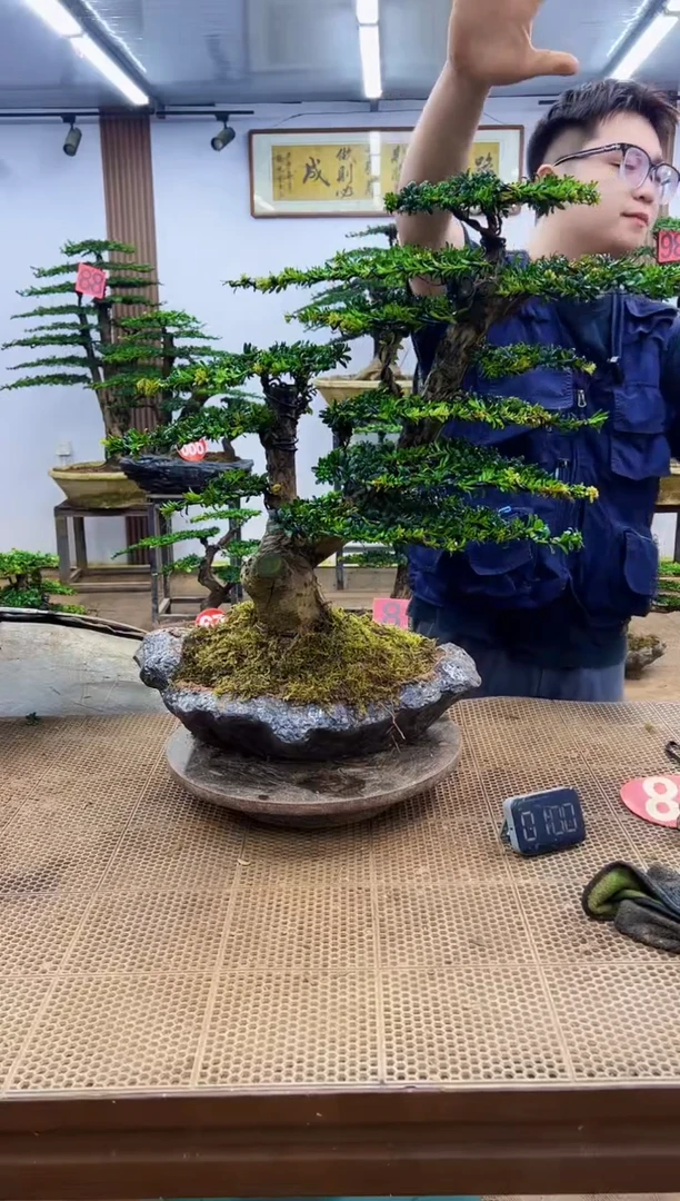 无花朵一物一拍，所见即所得
