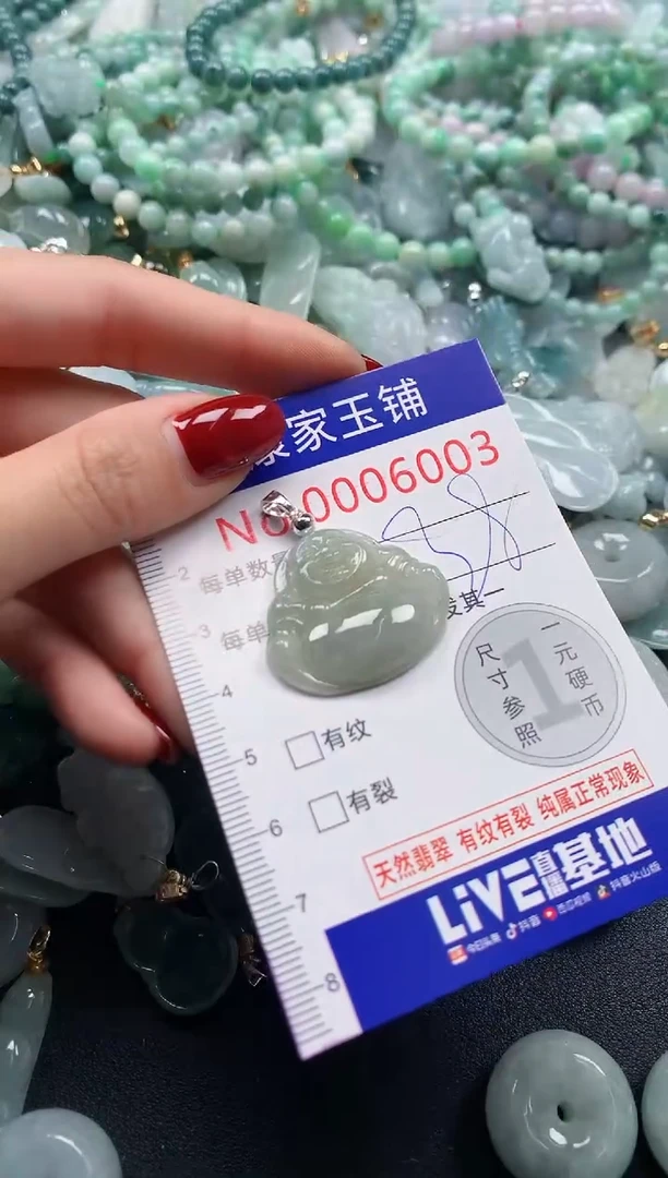 颈饰未镶嵌翡翠6003