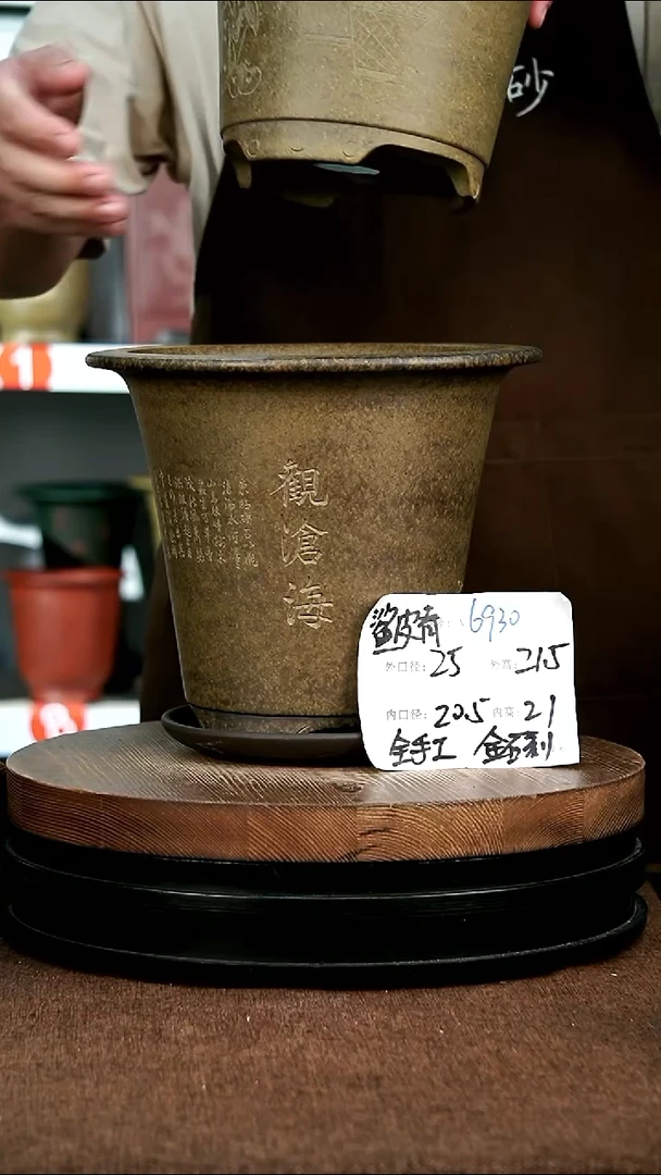 紫砂花盆花卉园艺