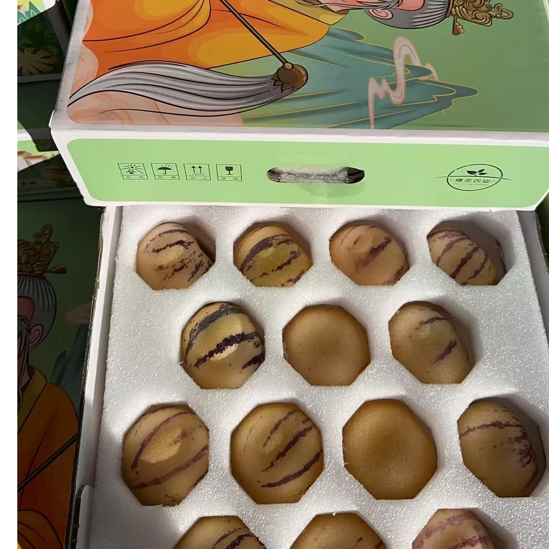 精品人参果礼盒装（4.5斤±2）斤云南树熟【顺丰包邮今天拍明天到】