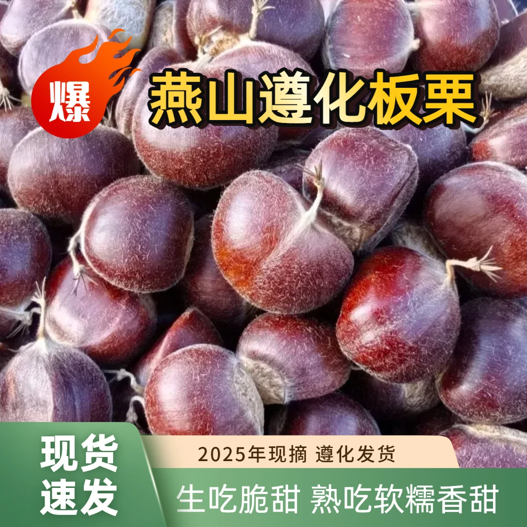 【燕山板栗】2025年燕山遵化板栗京东板栗软糯香甜新鲜板栗