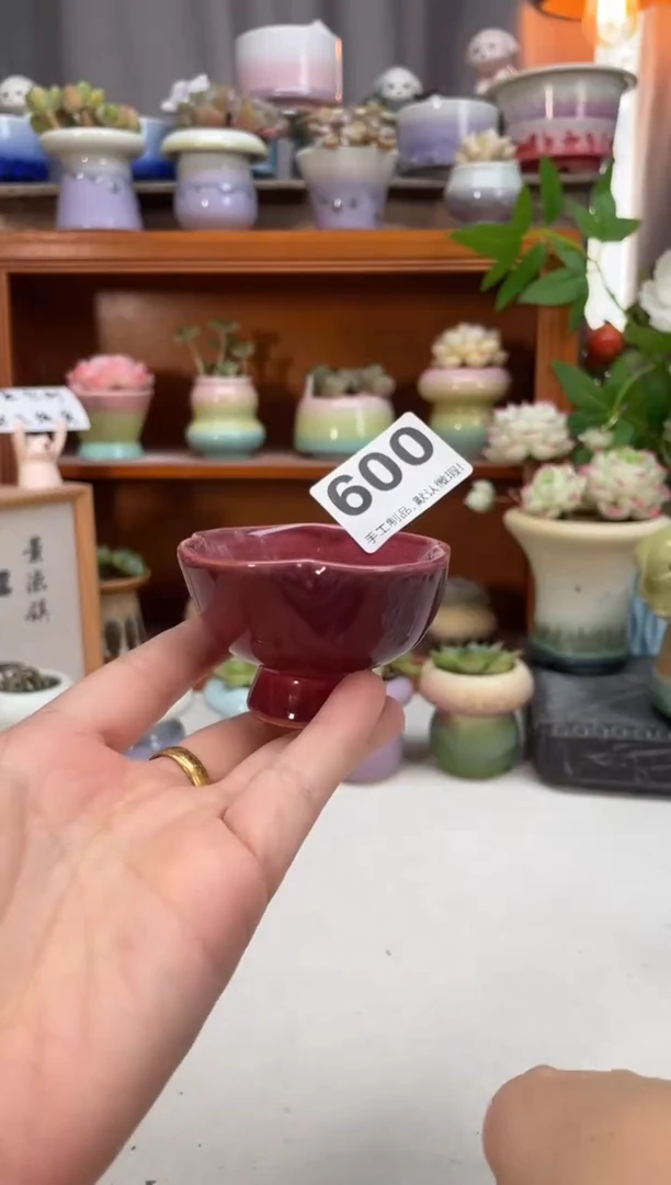 瓷片600知木小芳花盆