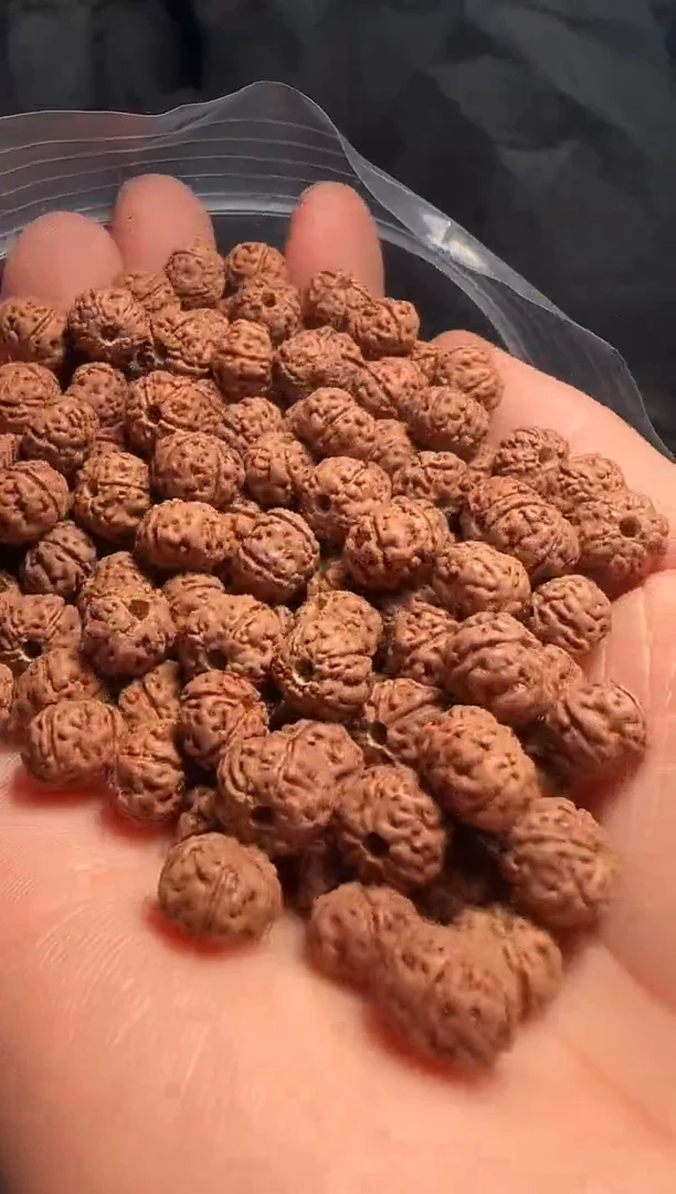 手串金刚菩提非全品老树王散籽8-9mm一份一百颗