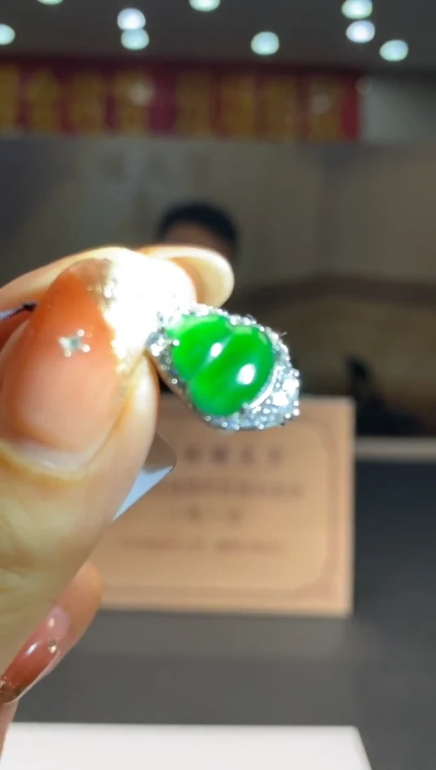 【闪购商品】翡翠颈饰未镶嵌********508