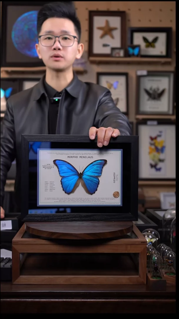 蓝闪悬浮款A4黑色平面框带证书