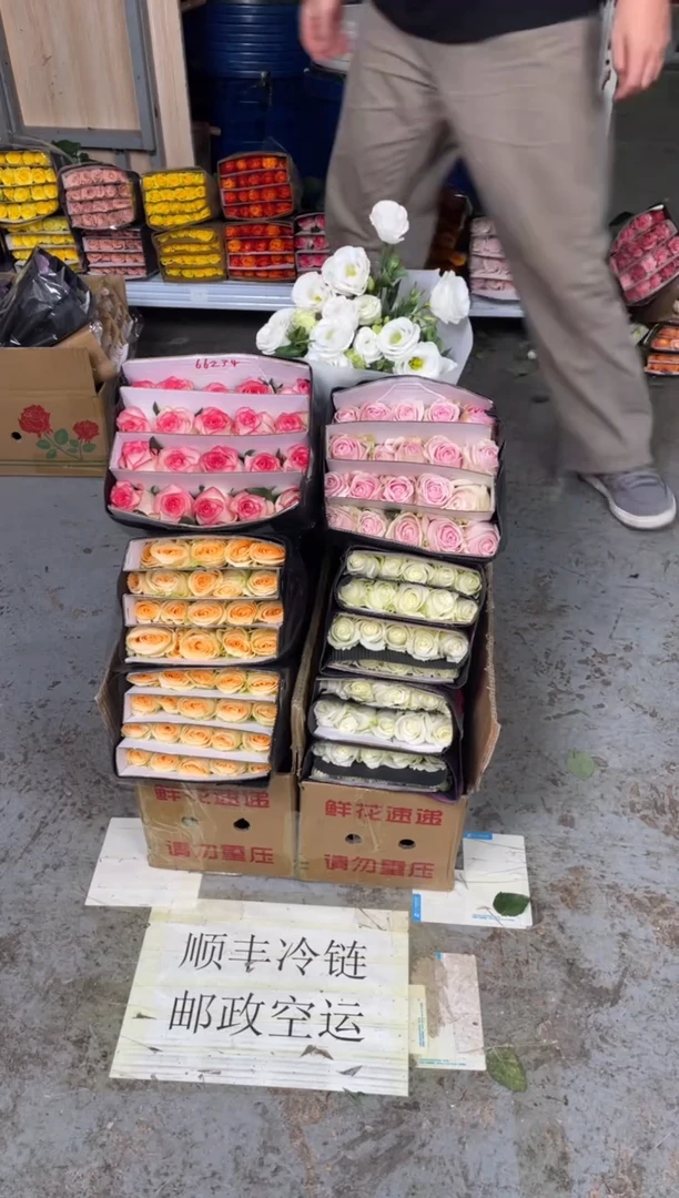 香槟6扎+骄傲2扎+粉红1扎+爱莎1扎+白桔梗400克