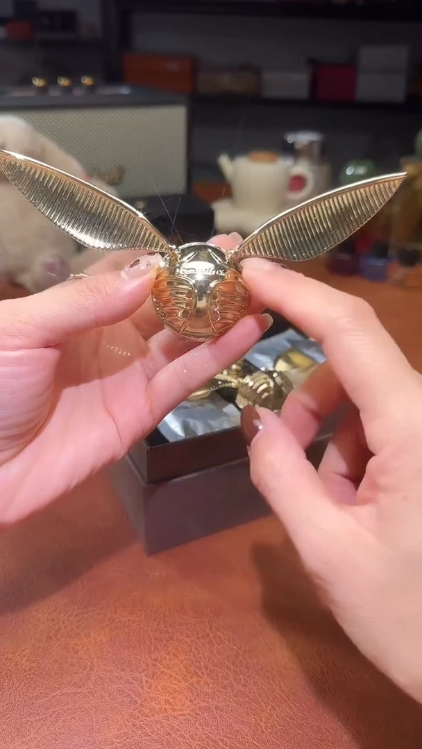 瓷片瓷片瓷片瓷片瓷片