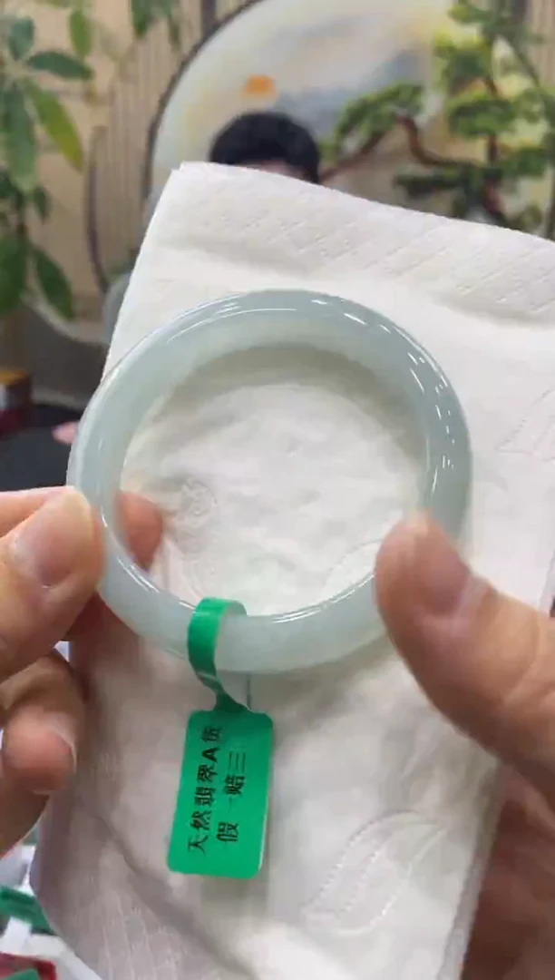 未镶嵌手镯翡翠8861