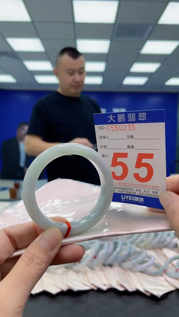 未镶嵌手镯翡翠AAAAAAAAAA
