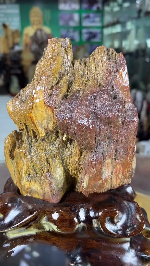 未镶嵌珠宝奇石硅化玉缅甸天然树化玉摆件