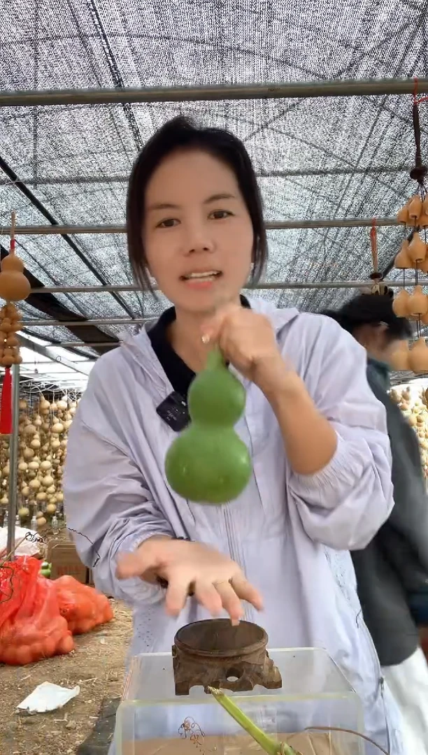 928天然葫芦摆件 一物一拍龙头不保售后微瑕疵4个 不带底座