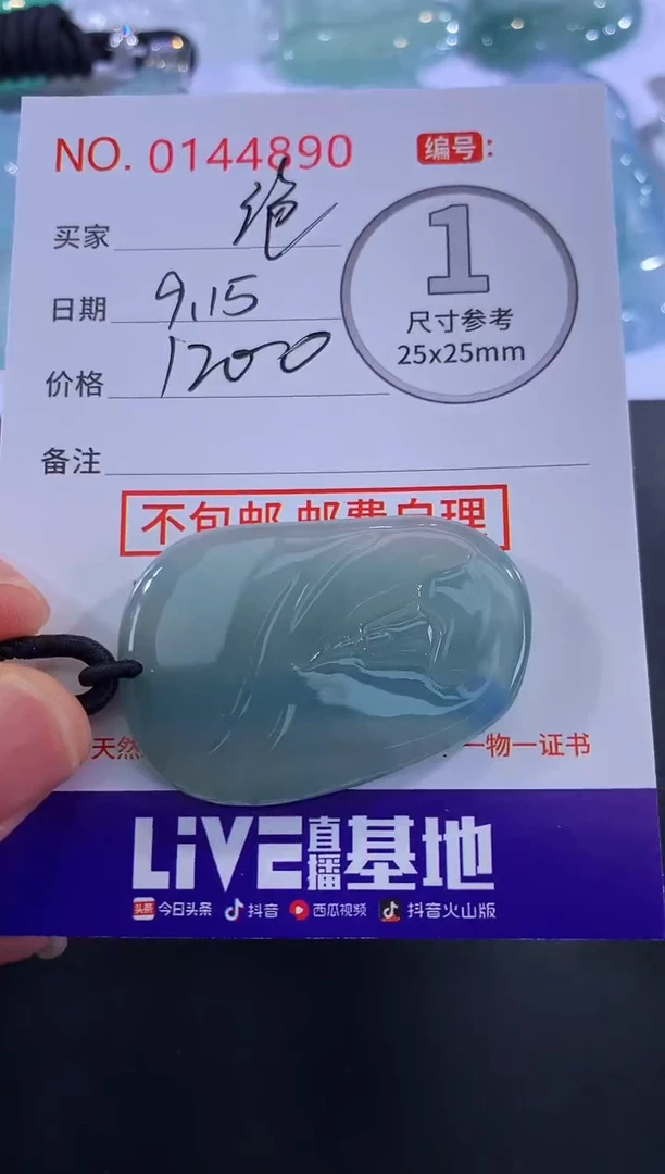颈饰未镶嵌翡翠༺**༻！