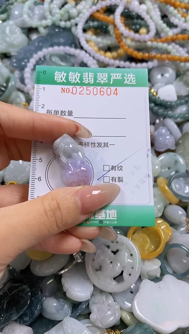 翡翠未镶嵌颈饰D****u闪购0250604