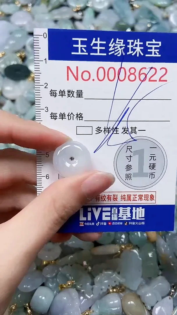 【闪购商品】翡翠颈饰未镶嵌闪购00008622