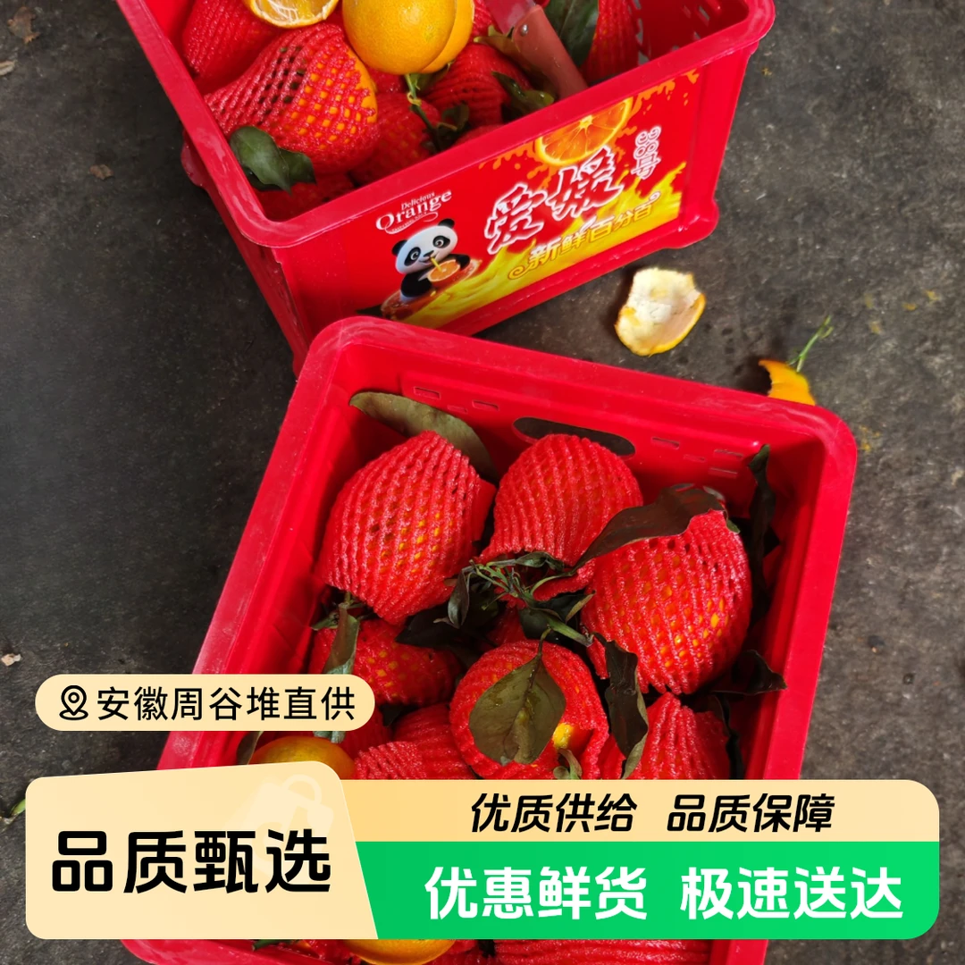 【江浙沪次日达】爱媛果冻橙净重4.8斤皮薄酸甜多汁新鲜（12）云南省