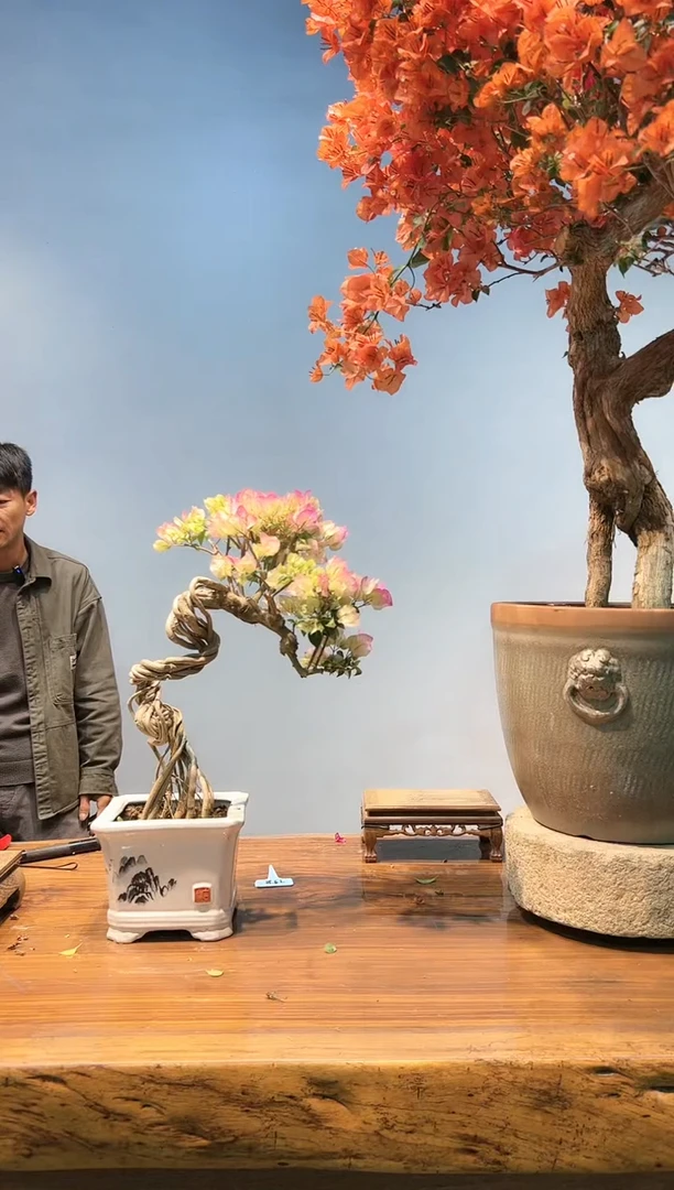 【闪购商品】AA930