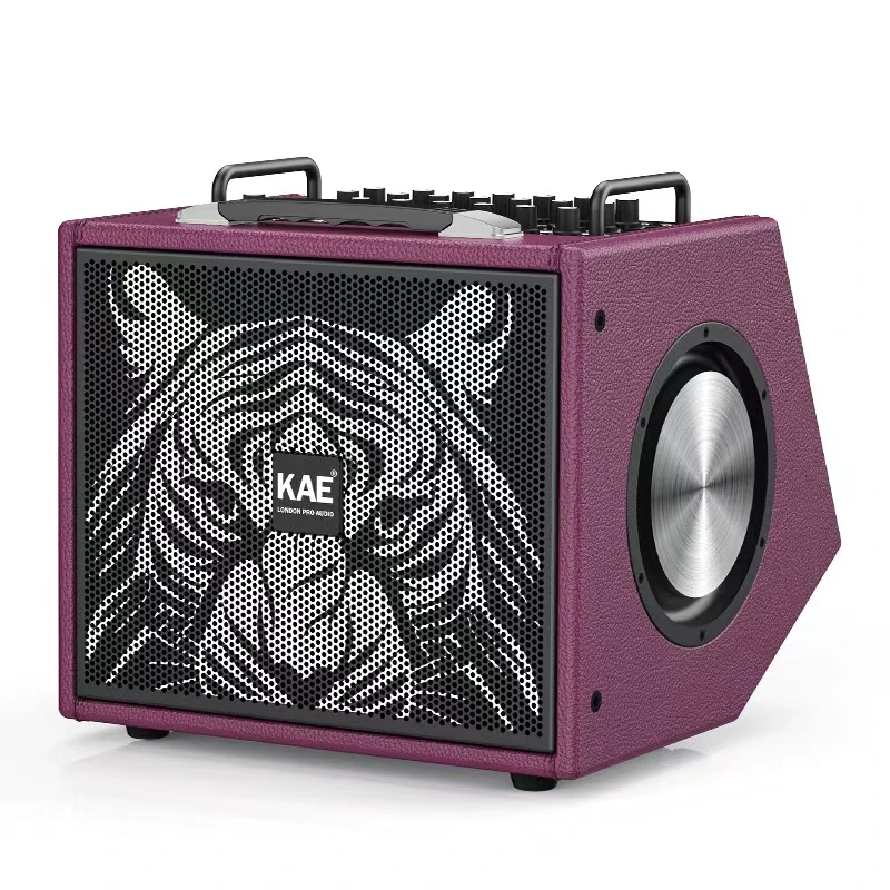KAE-M8萨克斯户外音箱 支持内录