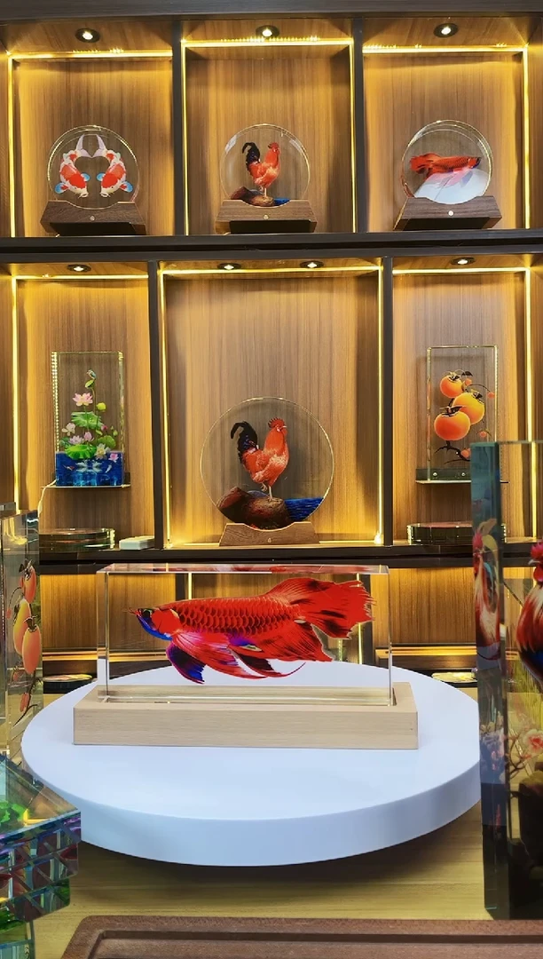 有机玻璃欢**好尺寸24*11*5至尊红龙鱼+底座