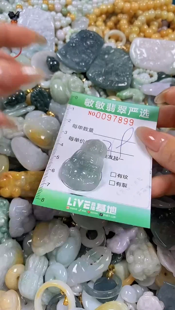 【闪购商品】翡翠颈饰未镶嵌闪购0097899