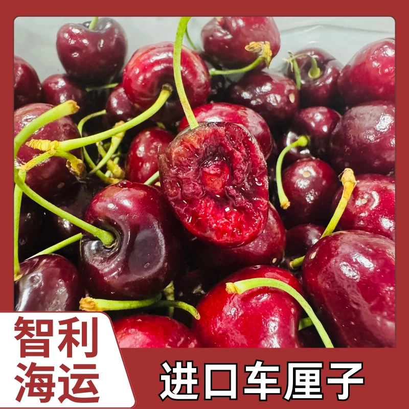 【5斤原箱】顺丰京东发货 海运 智利桑提娜车厘子 2JD 内附果径卡