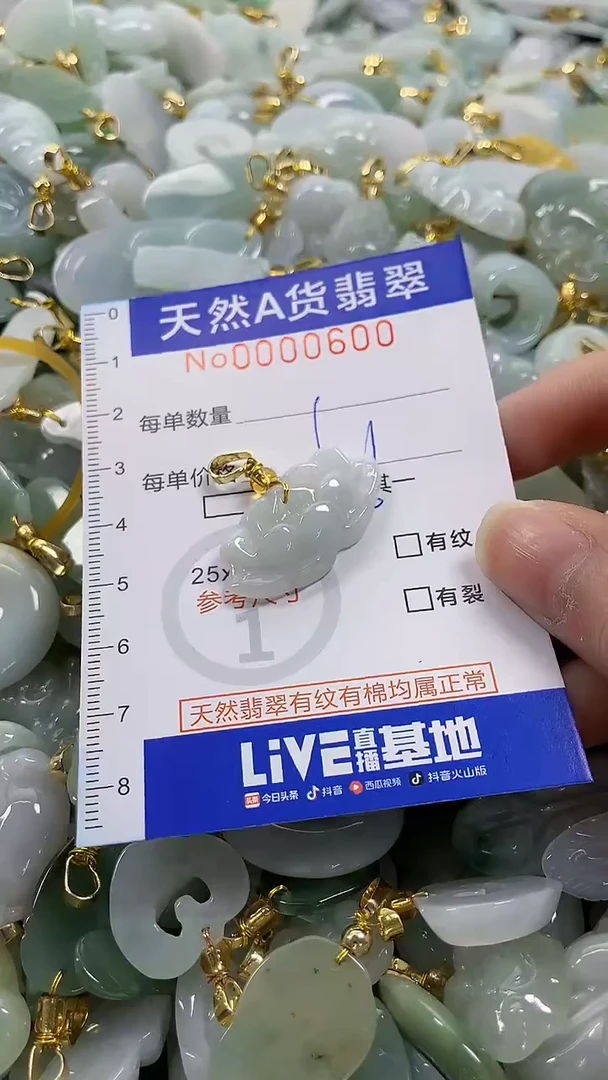 颈饰未镶嵌翡翠纯天然a货翡翠