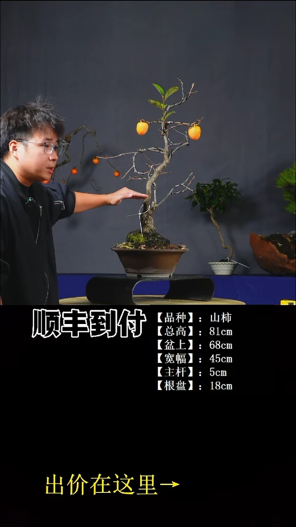 以实际为准山柿buaboyou