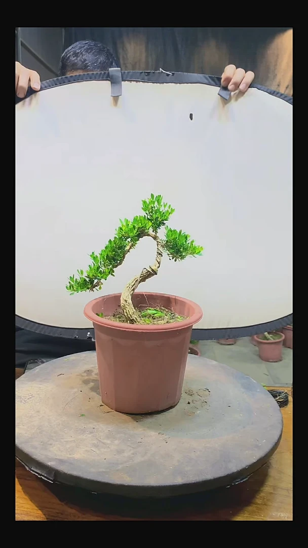 完全开放开**好11111111